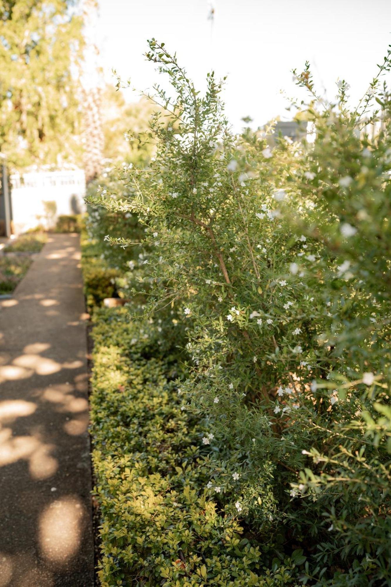 Elianthe Guesthouse Swellendam Bagian luar foto