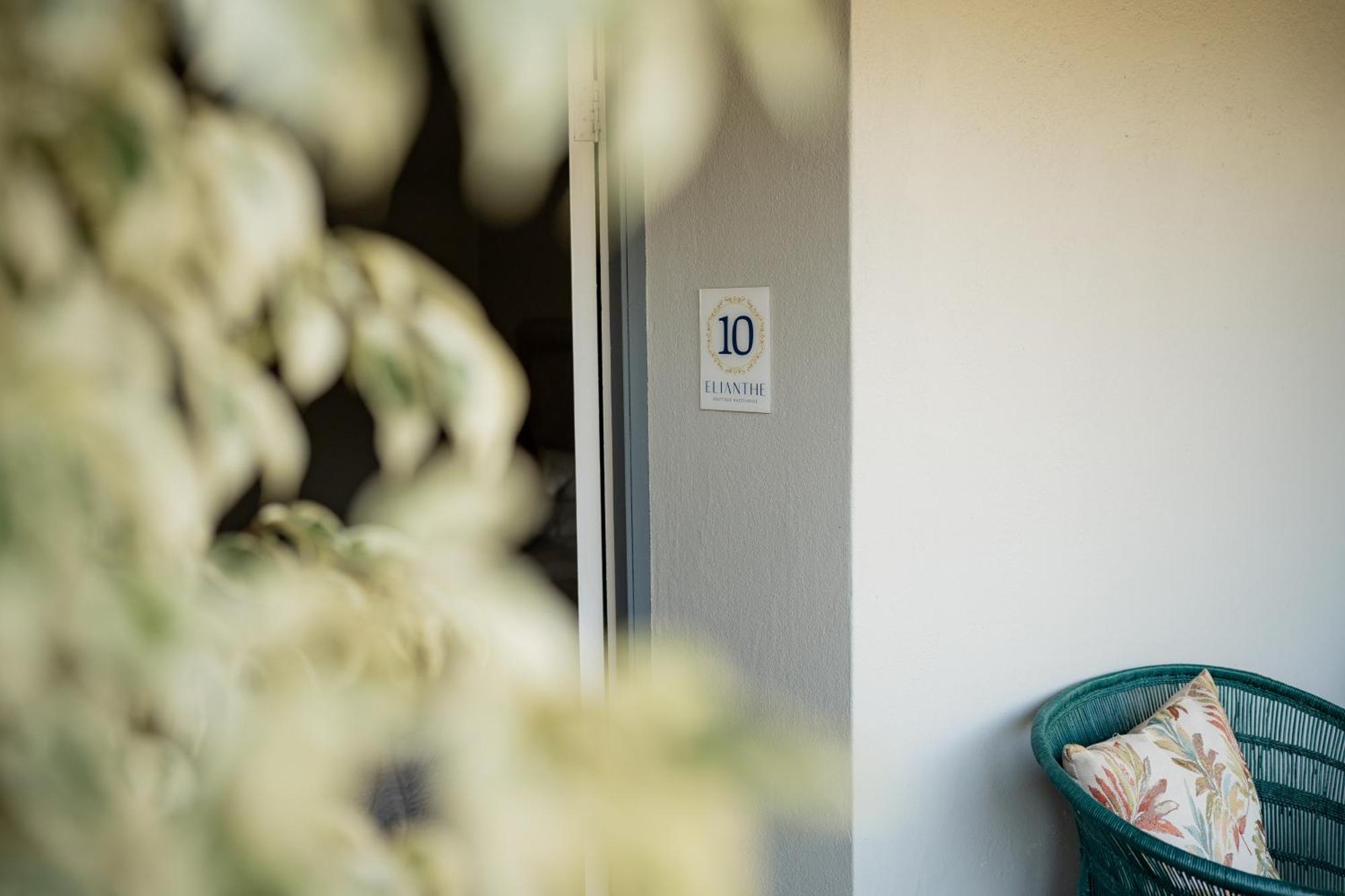 Elianthe Guesthouse Swellendam Bagian luar foto