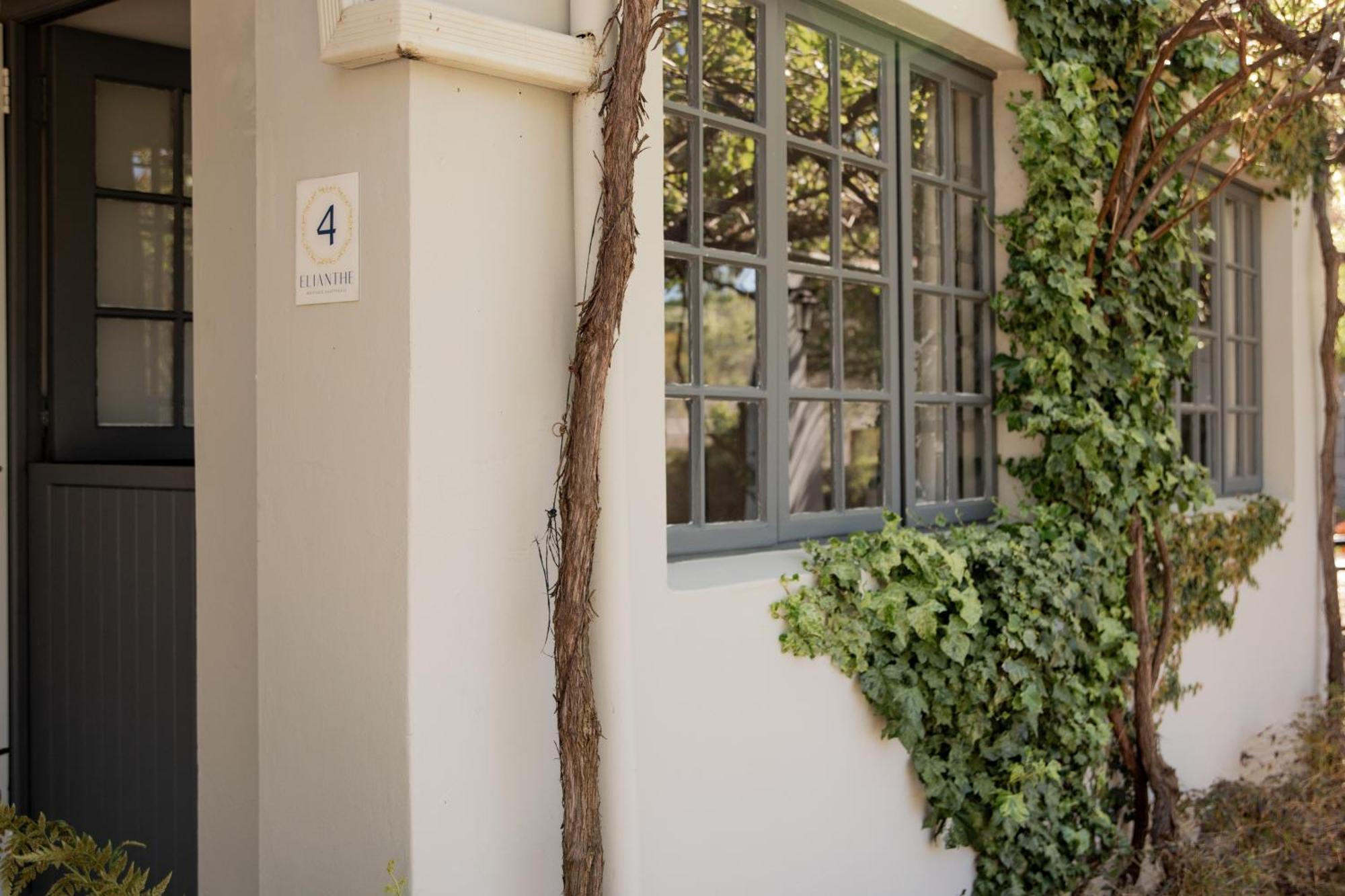 Elianthe Guesthouse Swellendam Bagian luar foto
